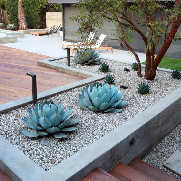 Rose Bowl Modern Pool With Seamless Deck